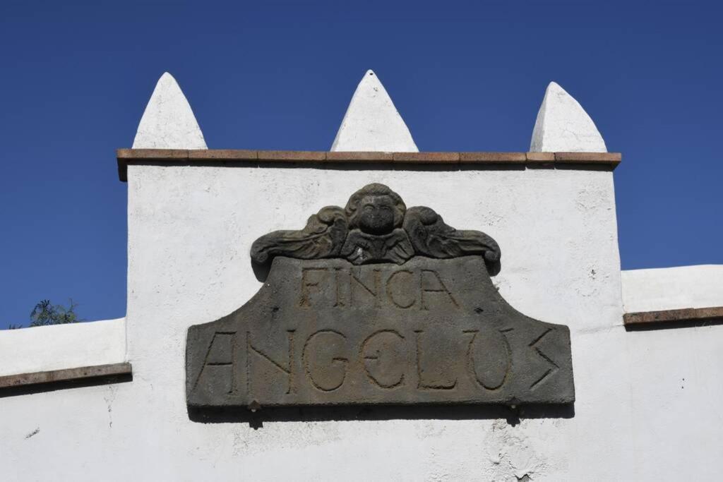Finca Angelus Apartment Syrah With Amazing Views La Matanza De Acentejo Εξωτερικό φωτογραφία