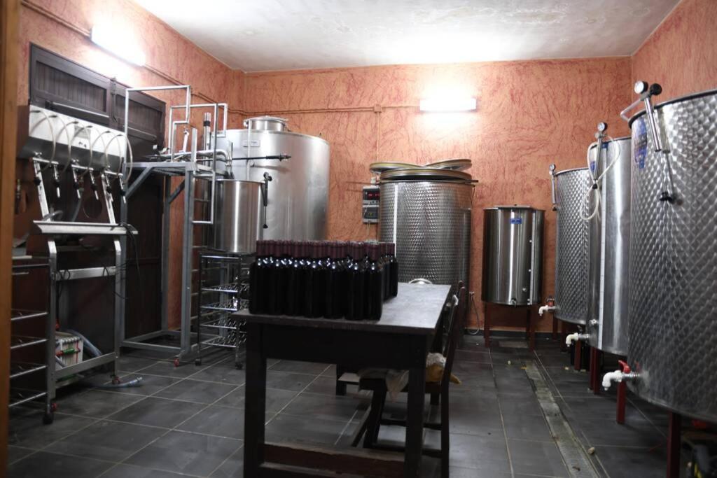 Finca Angelus Apartment Syrah With Amazing Views La Matanza De Acentejo Εξωτερικό φωτογραφία